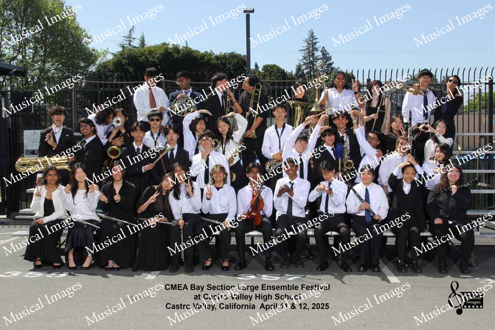 Musical Images